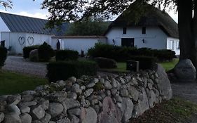 Bøgehus